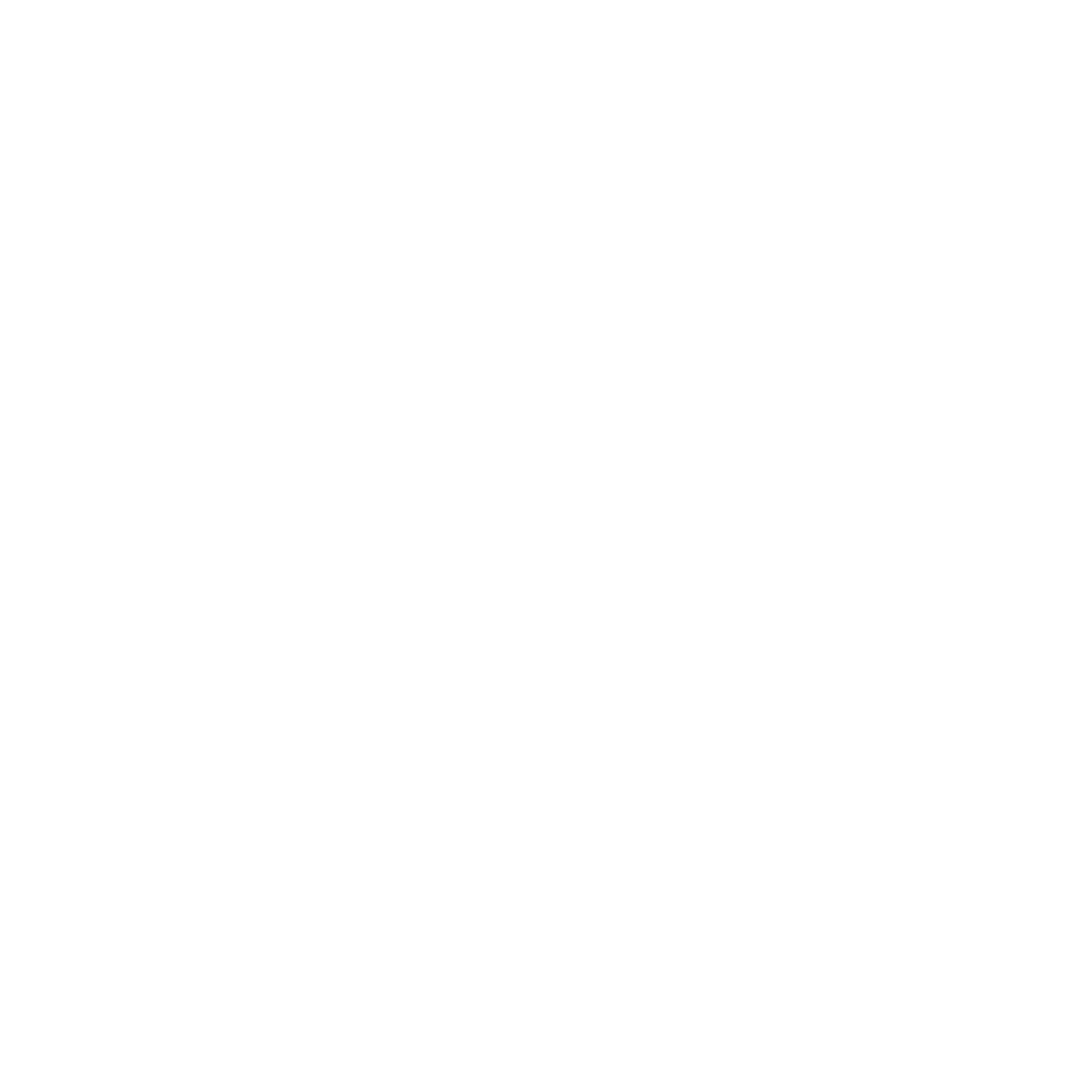 BFV logo.